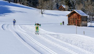 Bad Mitterndorf, Steiermark, Oesterreich (Austria), 31.01.2015: Skilanglauf, 36. Internationaler Steiralauf, Bild zeigt Teilnehmer auf der Distanz 30 km Klassisch.